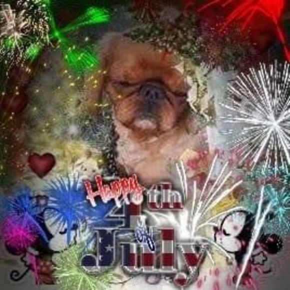 Meet your Posher, Ivannette - Picture 1 of 1